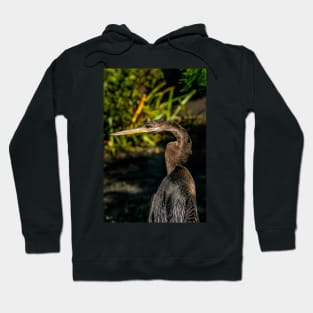 Anhinga Hoodie